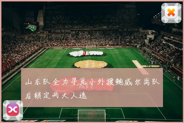 山东队全力寻觅小外援鲍威尔离队后锁定两大人选