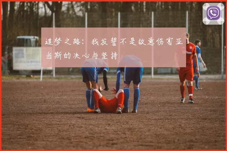 追梦之路：我发誓不是故意伤害亚当斯的决心与坚持