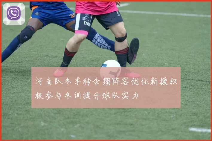 河南队冬季转会期阵容优化新援积极参与冬训提升球队实力
