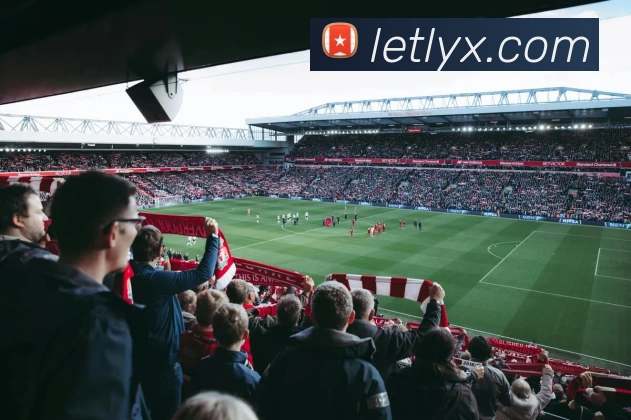 奖项证书
